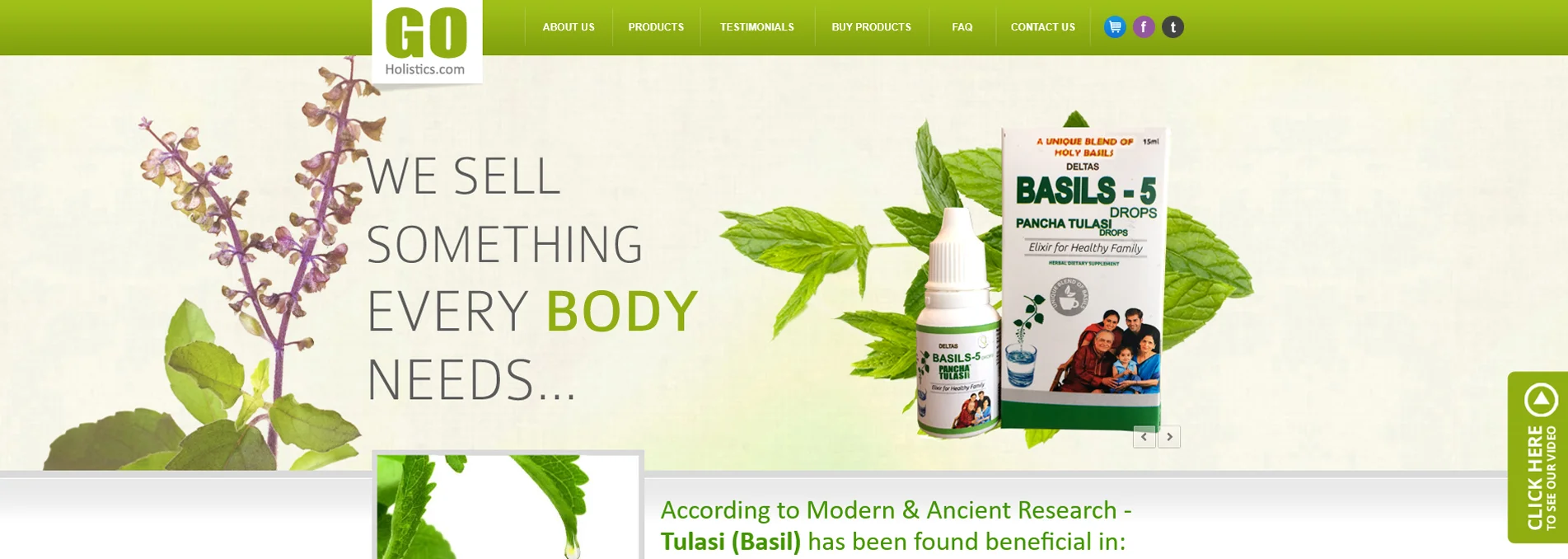 GO Holistics